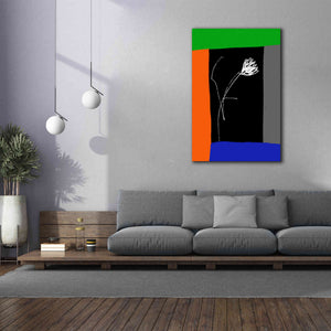 'Flower Of Freedom' by Cesare Bellassai, Canvas Wall Art,40 x 60