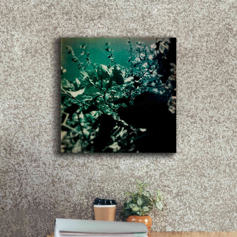 Image of 'Green Poem' by Cesare Bellassai, Canvas Wall Art,18 x 18