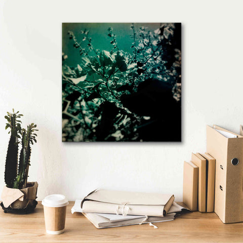 Image of 'Green Poem' by Cesare Bellassai, Canvas Wall Art,18 x 18