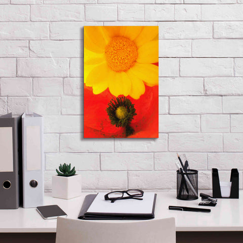 Image of 'Spring Love' by Cesare Bellassai, Canvas Wall Art,12 x 18