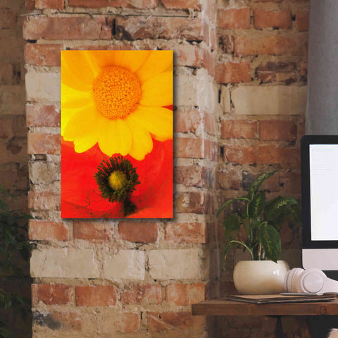 Image of 'Spring Love' by Cesare Bellassai, Canvas Wall Art,12 x 18