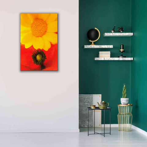 Image of 'Spring Love' by Cesare Bellassai, Canvas Wall Art,26 x 40