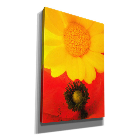 Image of 'Spring Love' by Cesare Bellassai, Canvas Wall Art,12x18x1.1x0,18x26x1.1x0,26x40x1.74x0,40x60x1.74x0