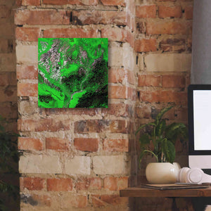 'Earth as Art: Araca River' Canvas Wall Art,12 x 12