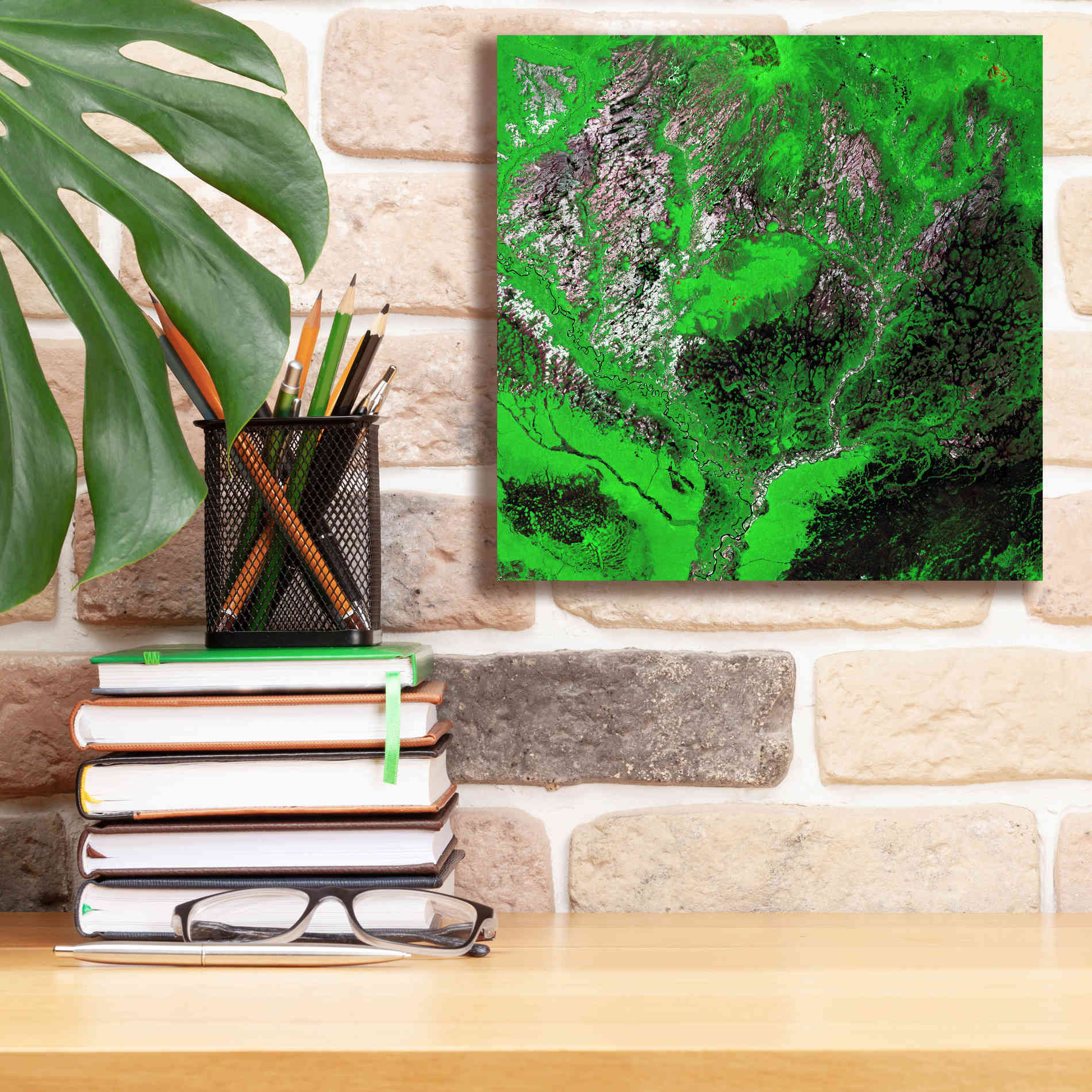 'Earth as Art: Araca River' Canvas Wall Art,12 x 12