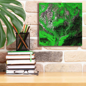 'Earth as Art: Araca River' Canvas Wall Art,12 x 12