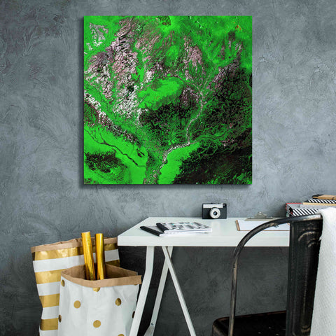 Image of 'Earth as Art: Araca River' Canvas Wall Art,26 x 26