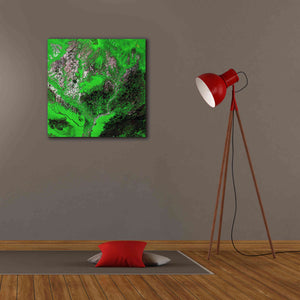 'Earth as Art: Araca River' Canvas Wall Art,26 x 26