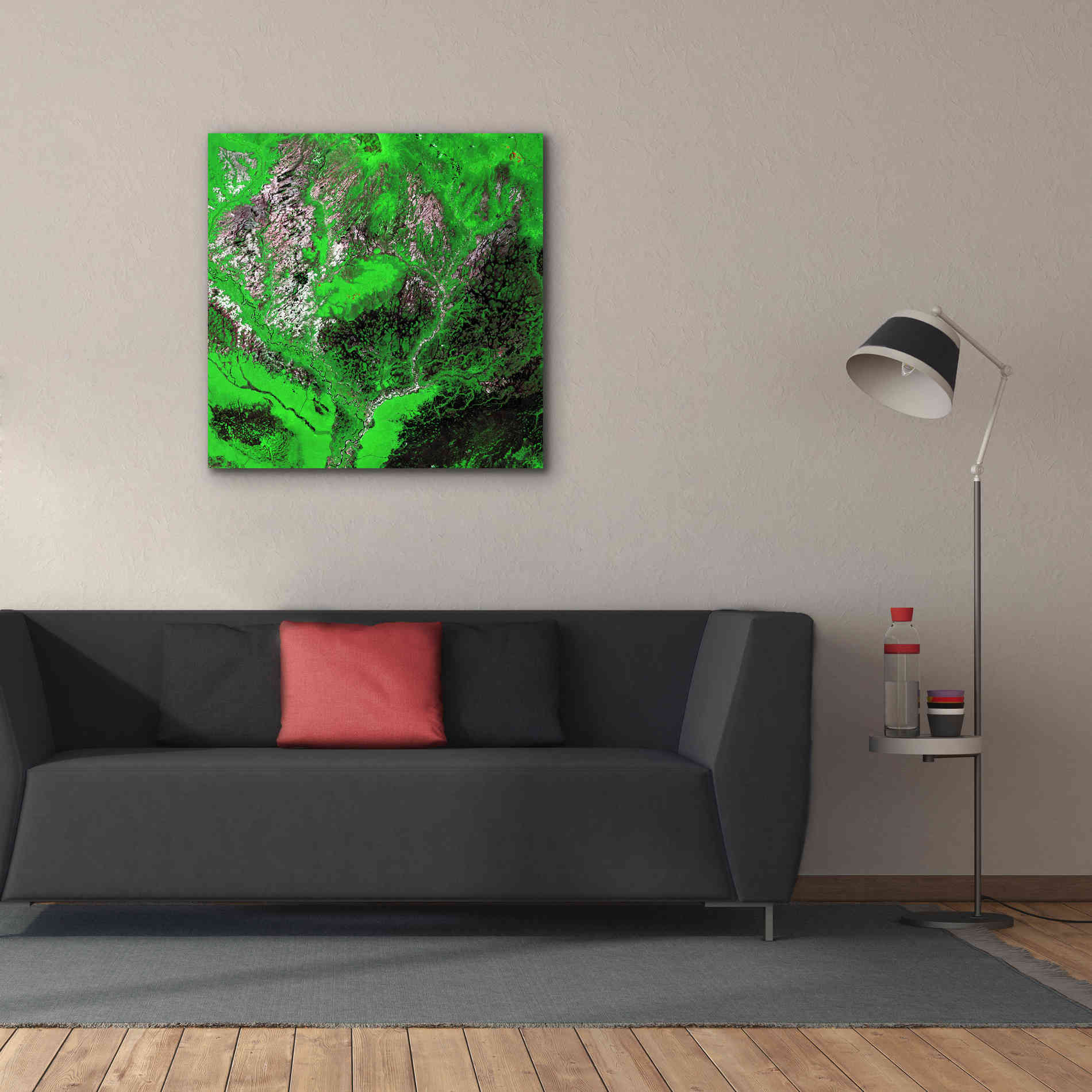 'Earth as Art: Araca River' Canvas Wall Art,37 x 37