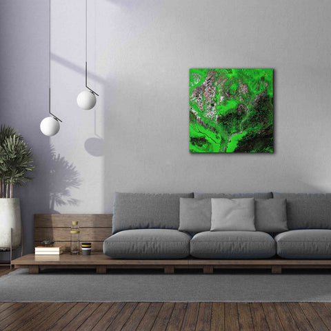 Image of 'Earth as Art: Araca River' Canvas Wall Art,37 x 37