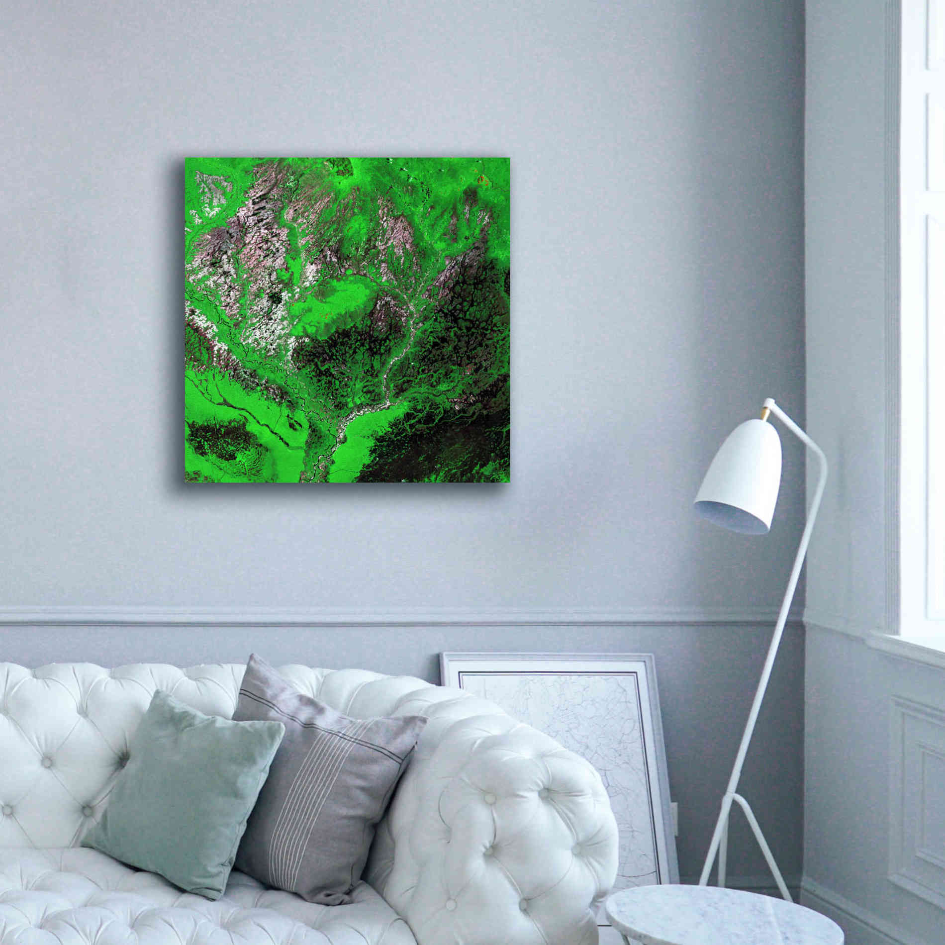 'Earth as Art: Araca River' Canvas Wall Art,37 x 37