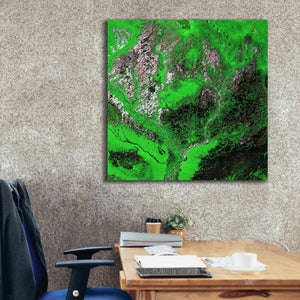 'Earth as Art: Araca River' Canvas Wall Art,37 x 37