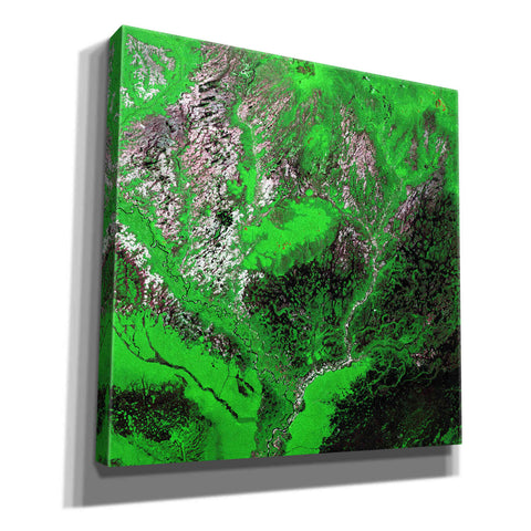 Image of 'Earth as Art: Araca River' Canvas Wall Art