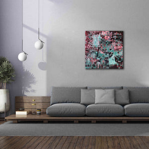 'Earth as Art: Bolivia Deforestation' Canvas Wall Art,37 x 37