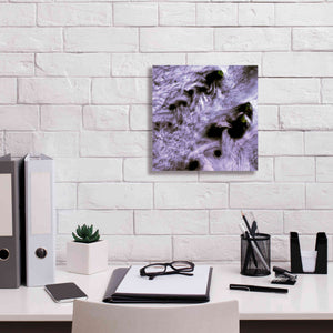 'Earth as Art: Broutona ' Canvas Wall Art,12 x 12