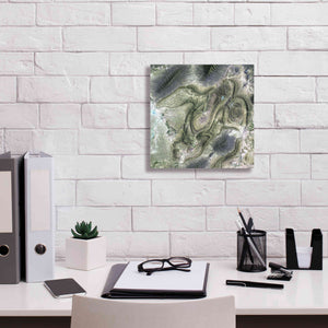 'Earth as Art: Coahuila ' Canvas Wall Art,12 x 12