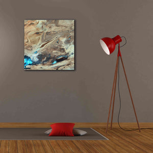 'Earth as Art: Dasht-e Kenir ' Canvas Wall Art,26 x 26