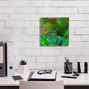 'Earth as Art: Everglades ' Canvas Wall Art,12 x 12