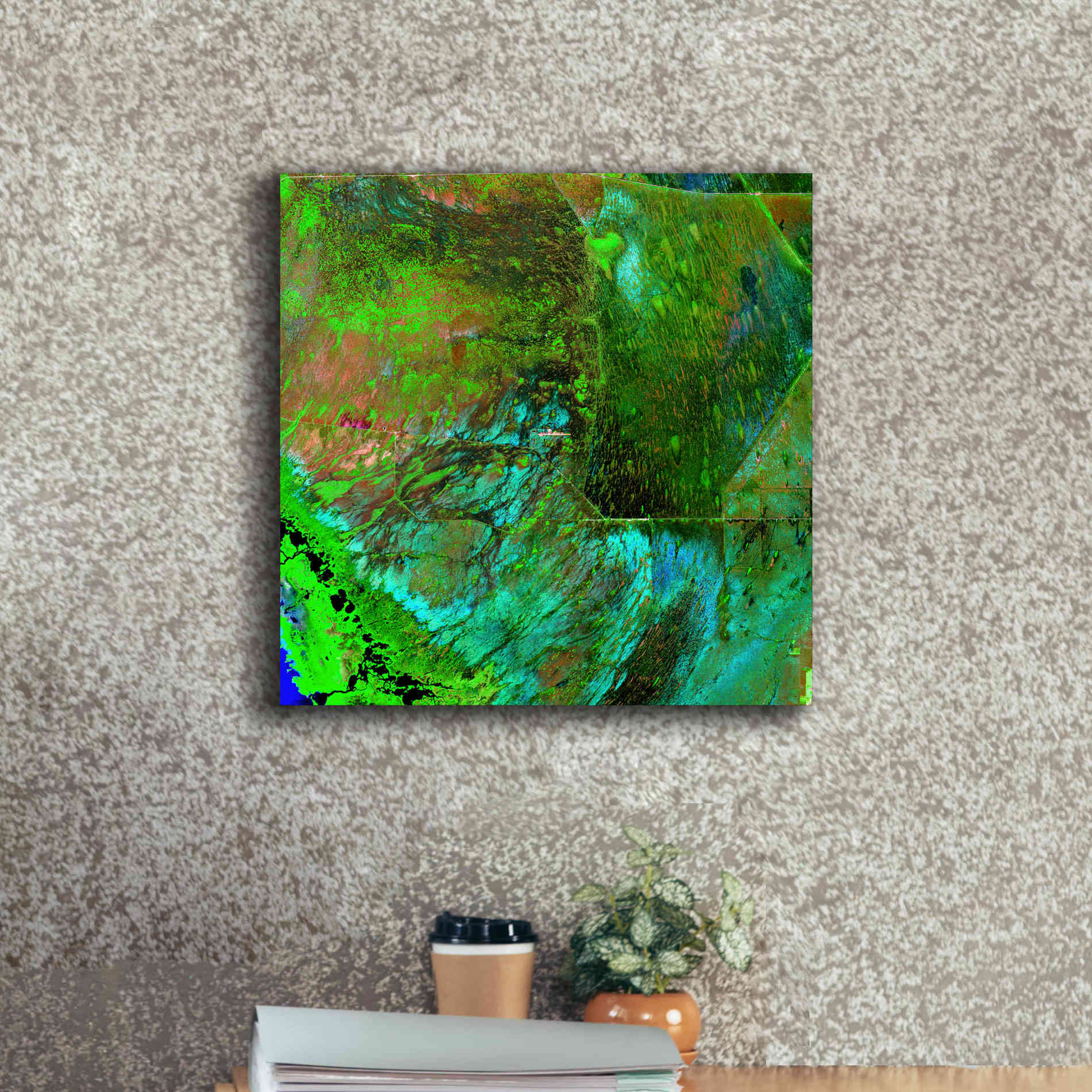 'Earth as Art: Everglades ' Canvas Wall Art,18 x 18