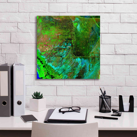 Image of 'Earth as Art: Everglades ' Canvas Wall Art,18 x 18