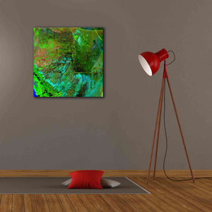'Earth as Art: Everglades ' Canvas Wall Art,26 x 26