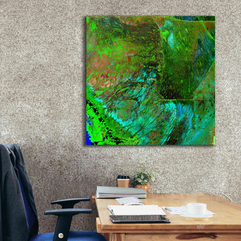 Image of 'Earth as Art: Everglades ' Canvas Wall Art,37 x 37