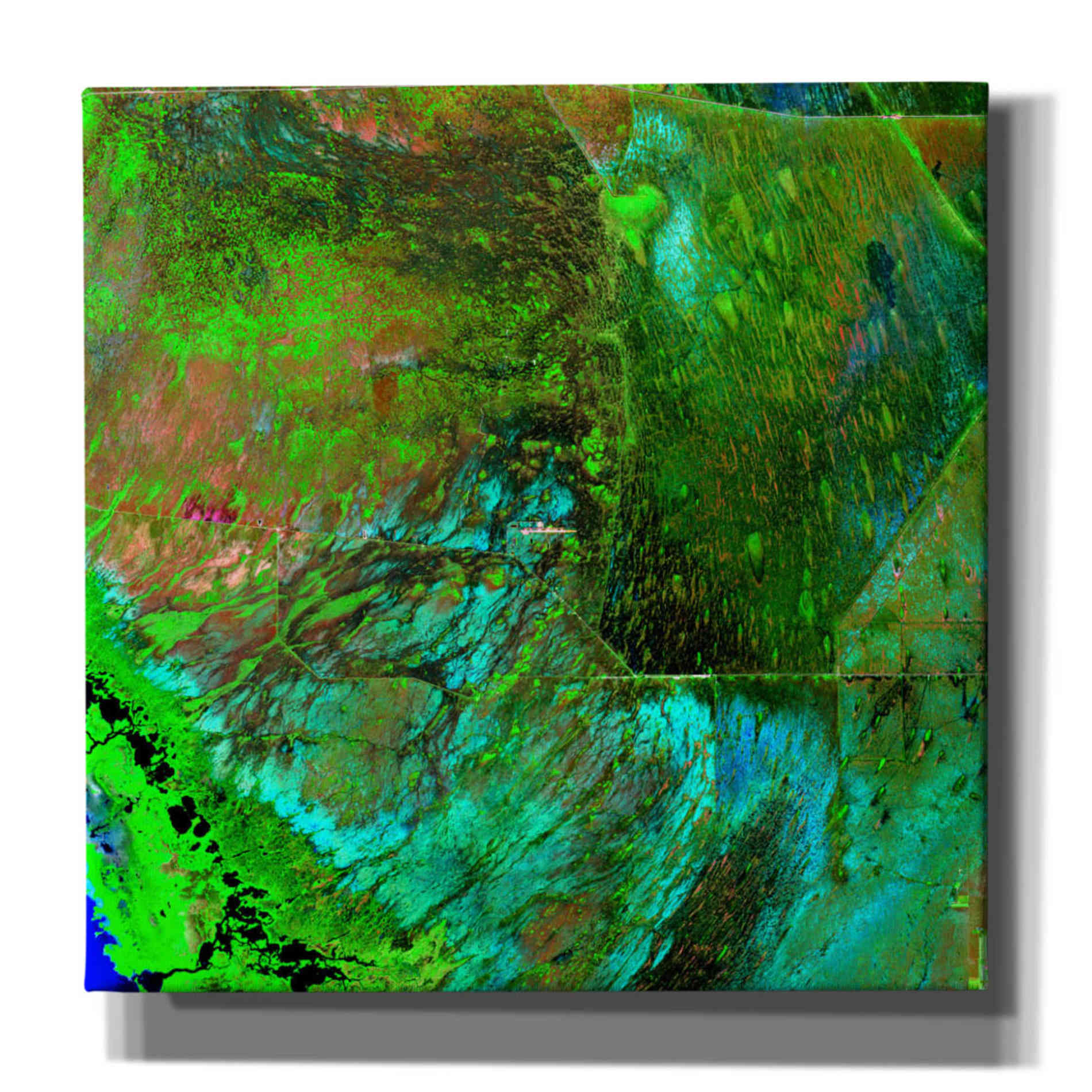 'Earth as Art: Everglades ' Canvas Wall Art