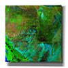 'Earth as Art: Everglades ' Canvas Wall Art