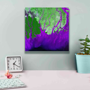 'Earth as Art: Ganges RIver Delta' Canvas Wall Art,12 x 12