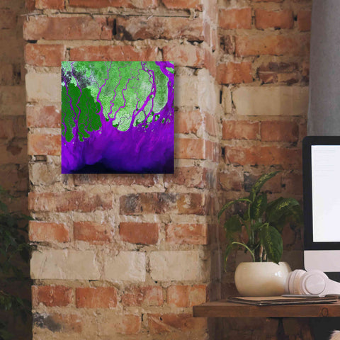 Image of 'Earth as Art: Ganges RIver Delta' Canvas Wall Art,12 x 12