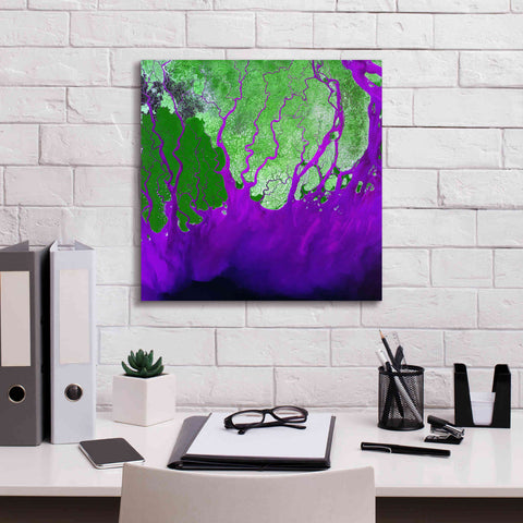 Image of 'Earth as Art: Ganges RIver Delta' Canvas Wall Art,18 x 18