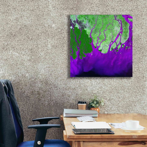 Image of 'Earth as Art: Ganges RIver Delta' Canvas Wall Art,26 x 26