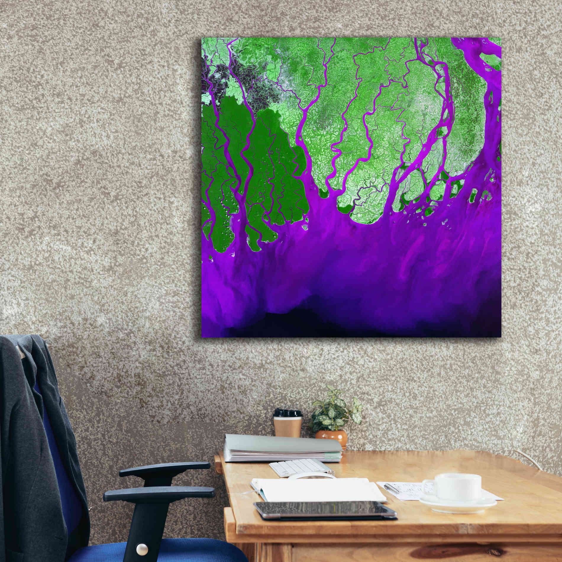 'Earth as Art: Ganges RIver Delta' Canvas Wall Art,37 x 37
