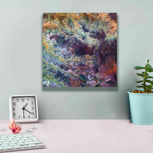 'Earth as Art: Ghadamis River' Canvas Wall Art,12 x 12