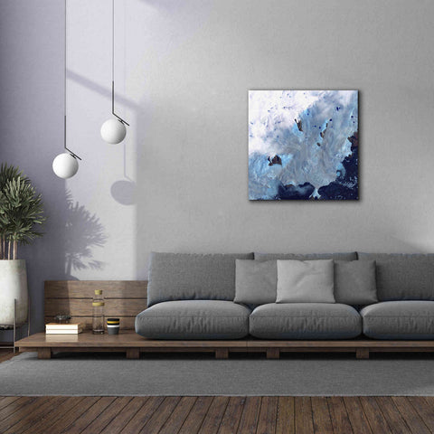 Image of 'Earth as Art: Greenland Coast' Canvas Wall Art,37 x 37