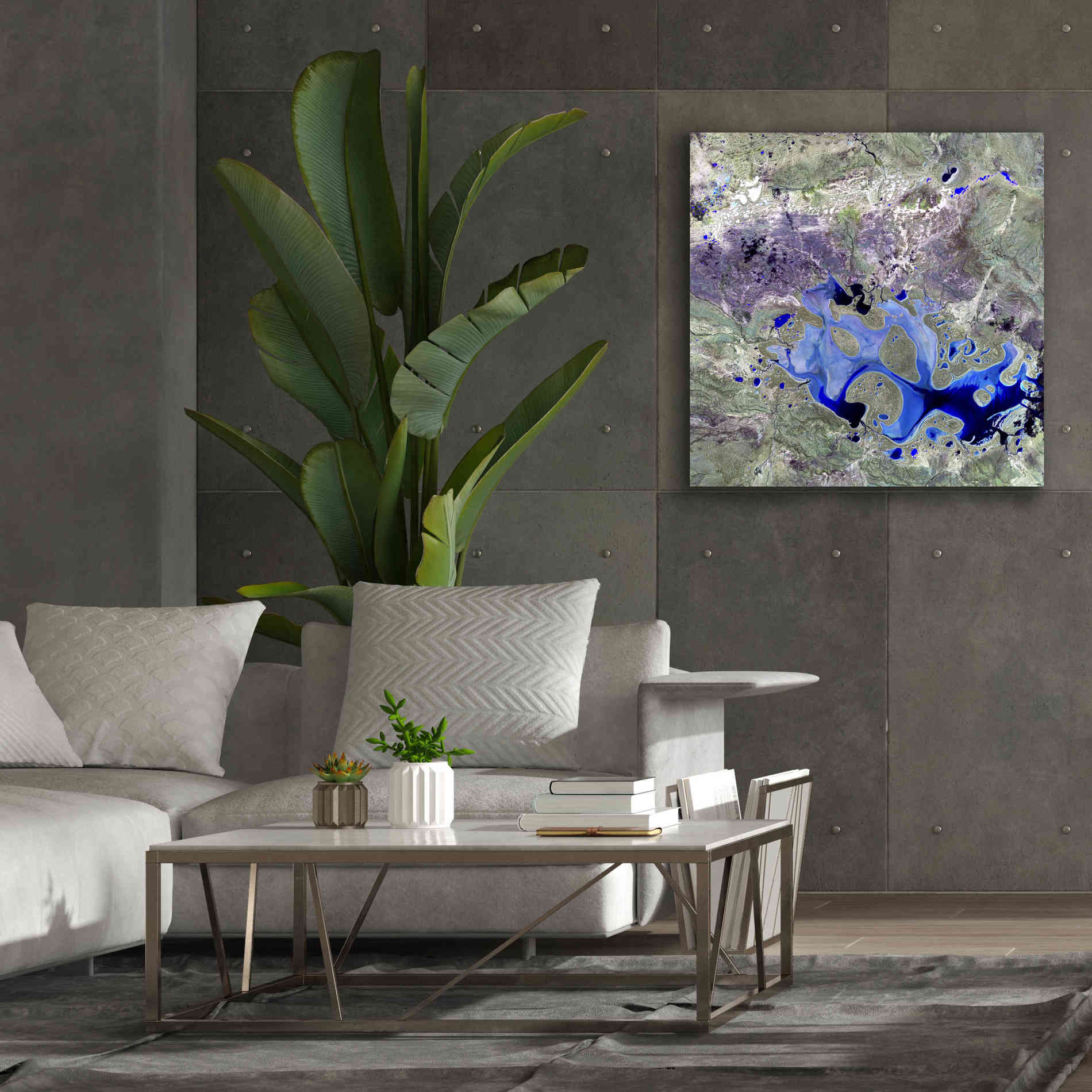 'Earth as Art: Lake Carnegie' Canvas Wall Art,37 x 37