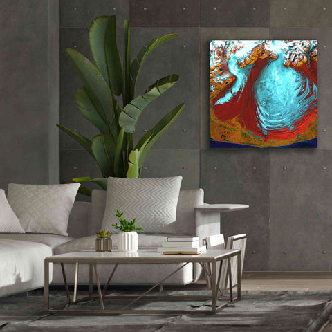 Image of 'Earth as Art: Malaspina Glacier' Canvas Wall Art,37 x 37