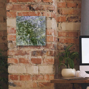 'Earth as Art: Namaqualand ' Canvas Wall Art,12 x 12