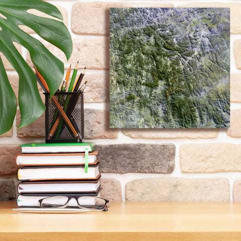 Image of 'Earth as Art: Namaqualand ' Canvas Wall Art,12 x 12