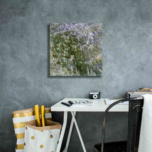'Earth as Art: Namaqualand ' Canvas Wall Art,18 x 18