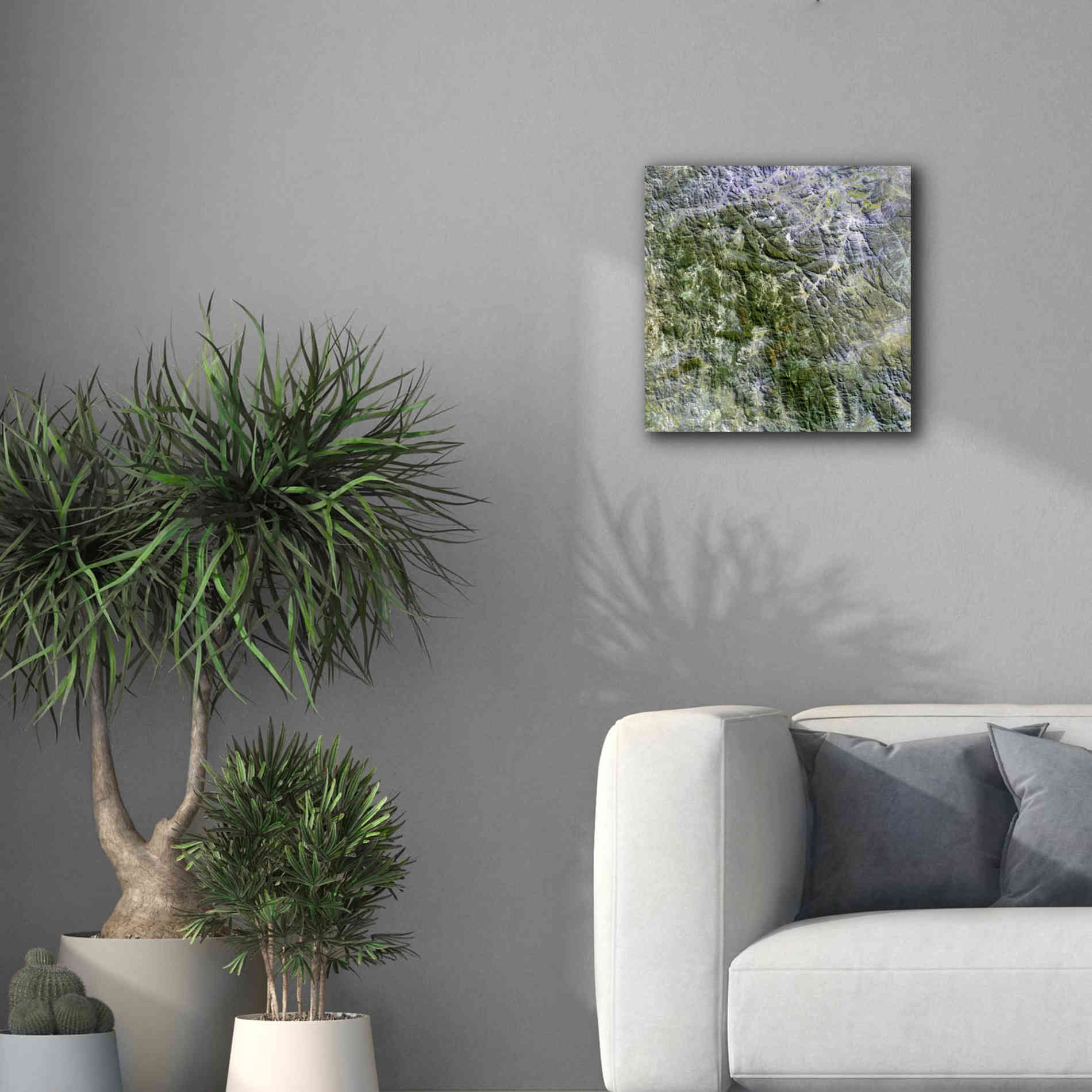 'Earth as Art: Namaqualand ' Canvas Wall Art,18 x 18