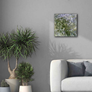 'Earth as Art: Namaqualand ' Canvas Wall Art,18 x 18