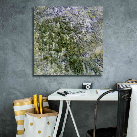 Image of 'Earth as Art: Namaqualand ' Canvas Wall Art,26 x 26