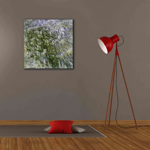 Image of 'Earth as Art: Namaqualand ' Canvas Wall Art,26 x 26