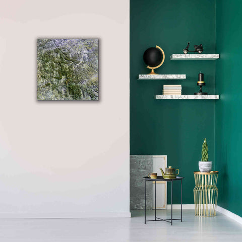 Image of 'Earth as Art: Namaqualand ' Canvas Wall Art,26 x 26