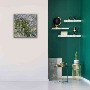 'Earth as Art: Namaqualand ' Canvas Wall Art,26 x 26