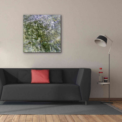 Image of 'Earth as Art: Namaqualand ' Canvas Wall Art,37 x 37