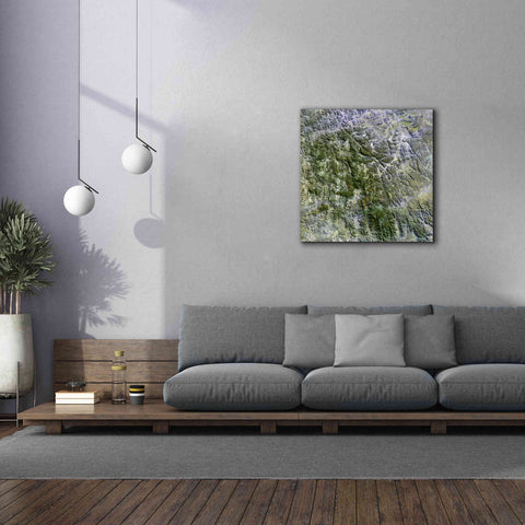 Image of 'Earth as Art: Namaqualand ' Canvas Wall Art,37 x 37