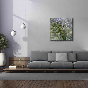 'Earth as Art: Namaqualand ' Canvas Wall Art,37 x 37