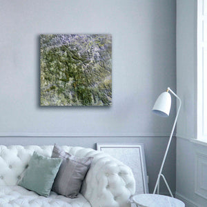 'Earth as Art: Namaqualand ' Canvas Wall Art,37 x 37